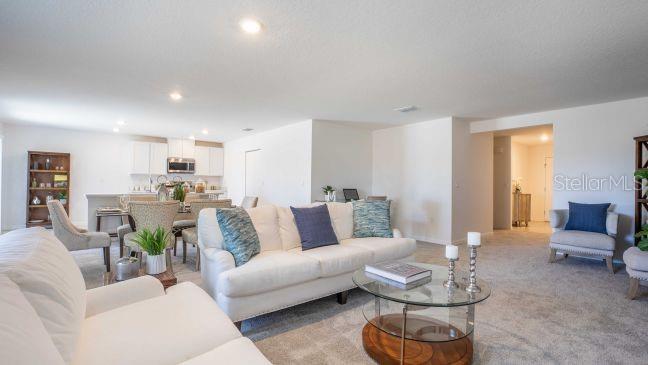 Tbd English Parrot Road Weeki Wachee, FL 34614 - Photo 10 of 19
