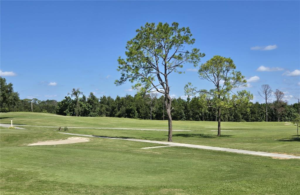 3935 Parway Road, Unit 1322 Zellwood, FL 32798 - Photo 15 of 28 a view of a park