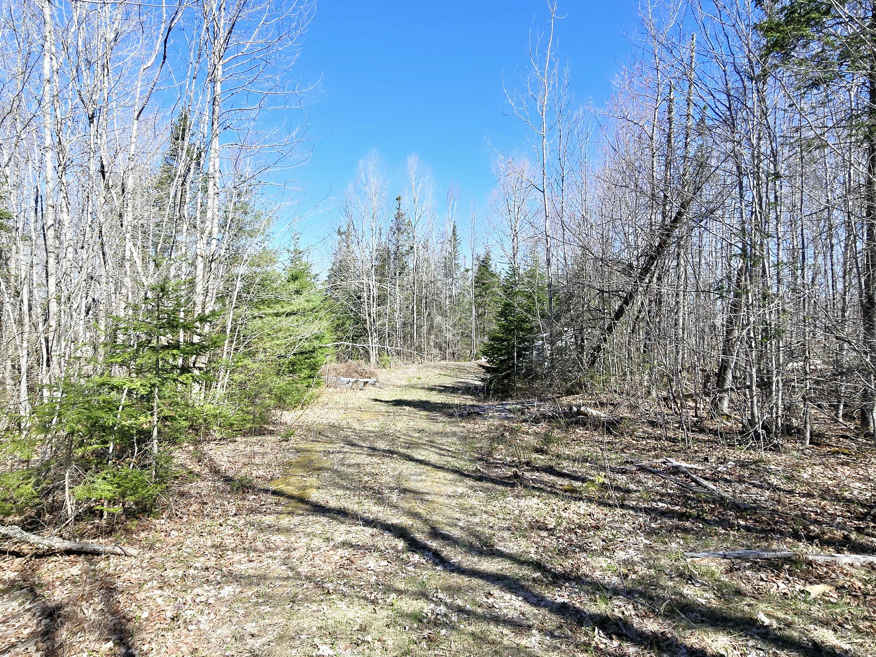 137 East Gulch Road Thorndike, ME 04986 - Photo 2 of 8 137 E Gulch Rd