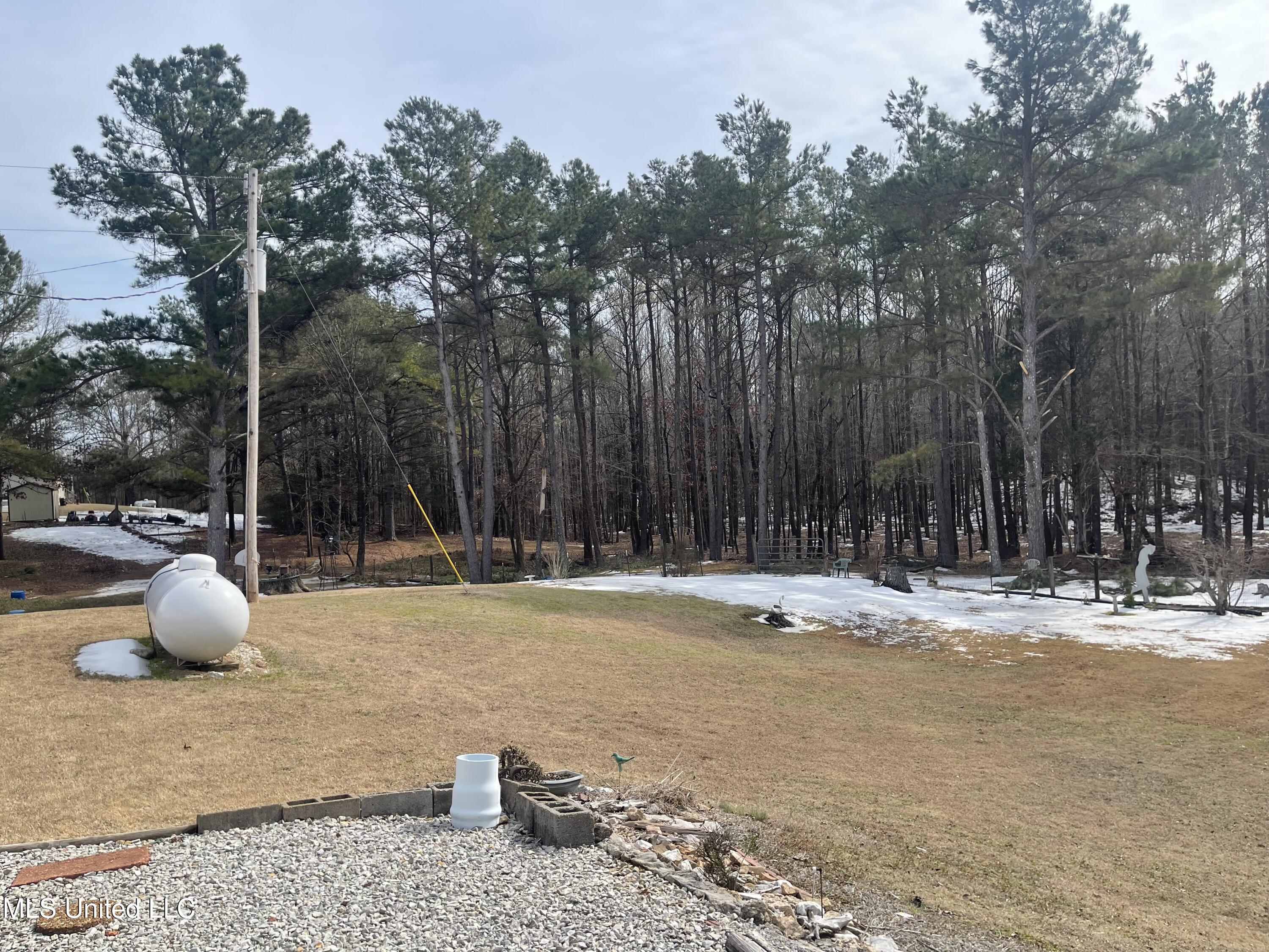 6193 Marianna Road Holly Springs, MS 38635 - Photo 2 of 26 IMG_8182