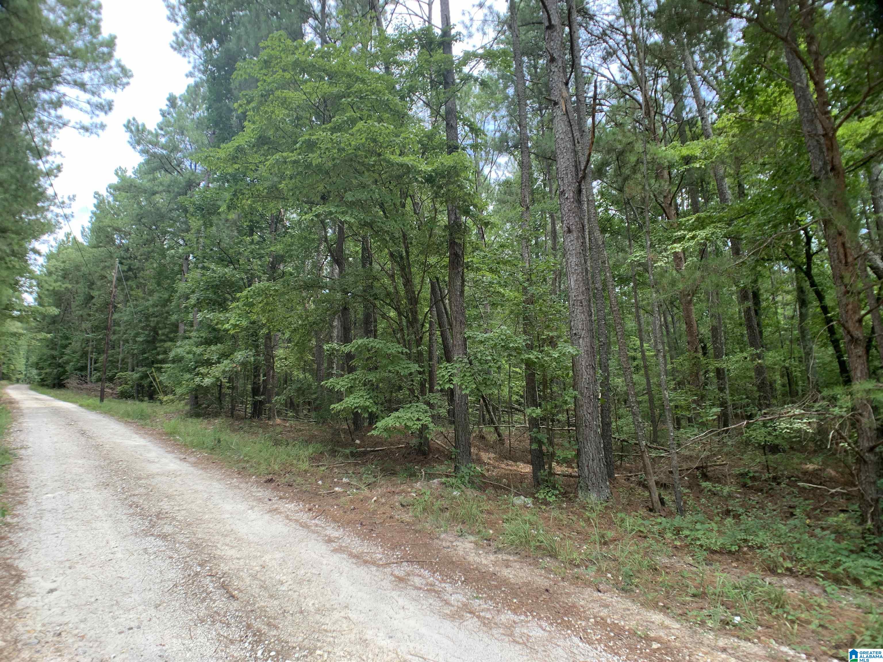 0 Arrowhead Road Piedmont, AL 36272 - Photo 3 of 8