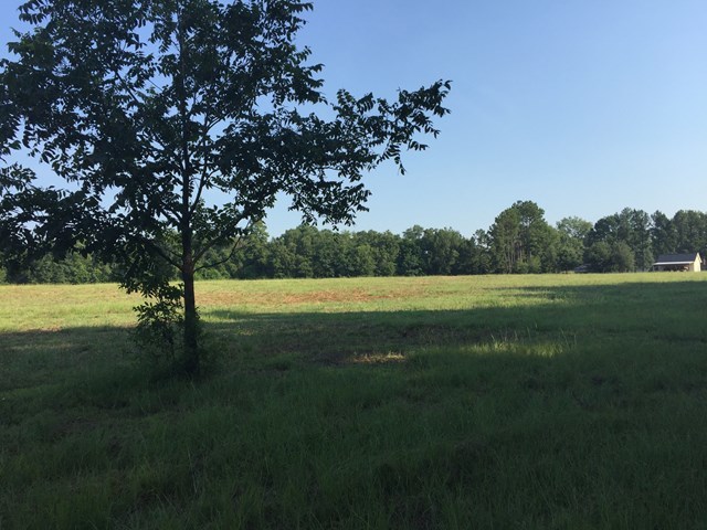 0 Giles Road, Unit A Byron, GA 31008 - Photo 1 of 15 Primary Photo