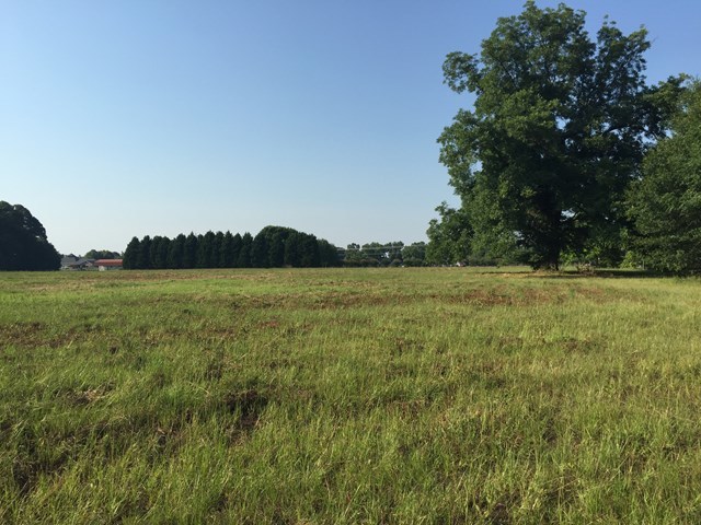 0 Giles Road, Unit A Byron, GA 31008 - Photo 14 of 15 Additional Photo