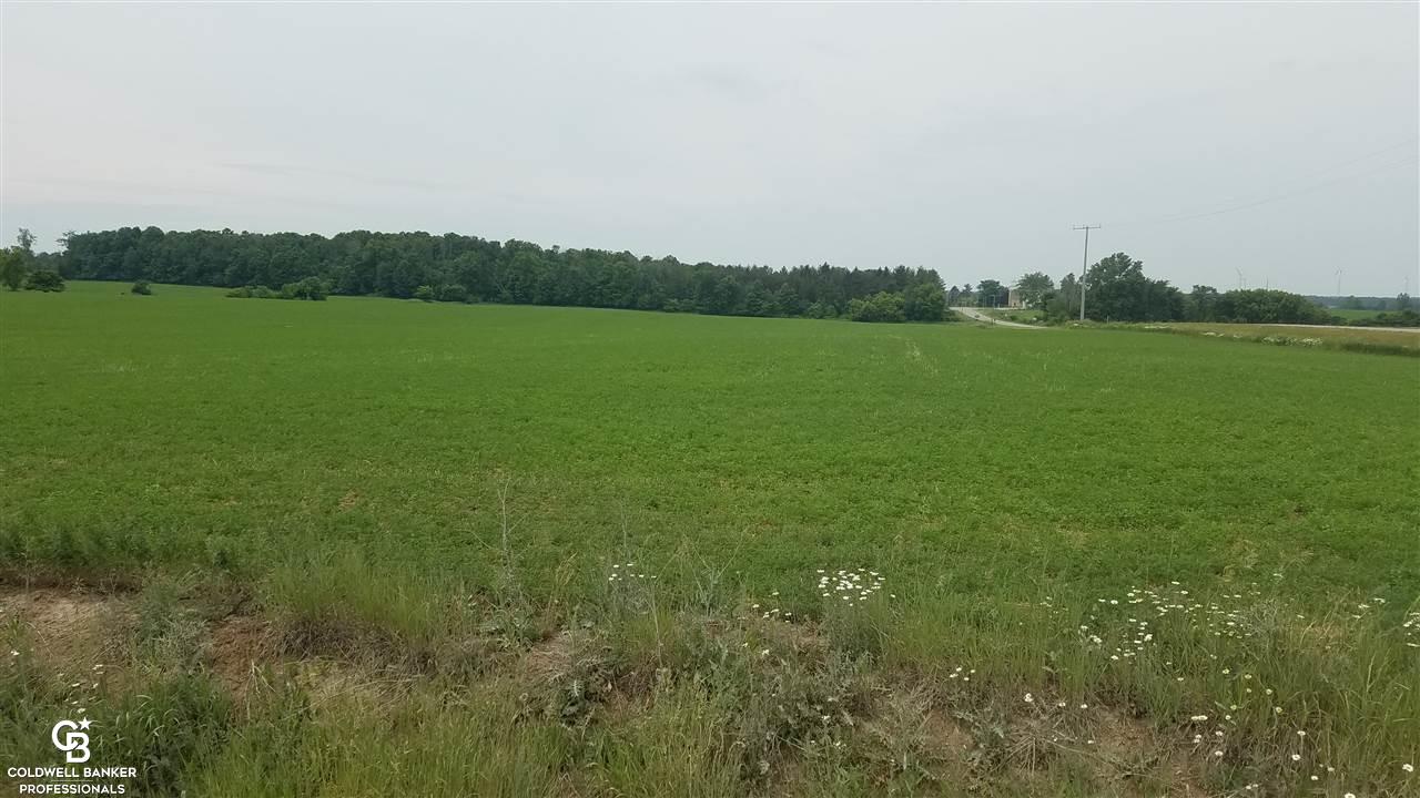 Palms Ville Palms, MI 48465 - Photo 3 of 13