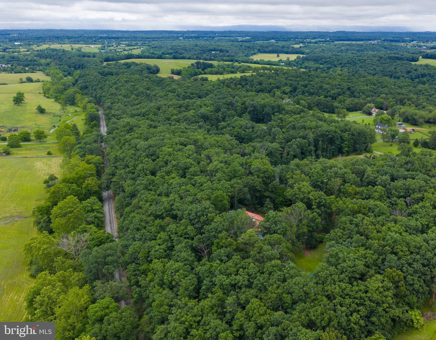 265 Slate Lane Stephenson, VA 22656 - Photo 27 of 29 a view of a lush green forest with trees and some houses