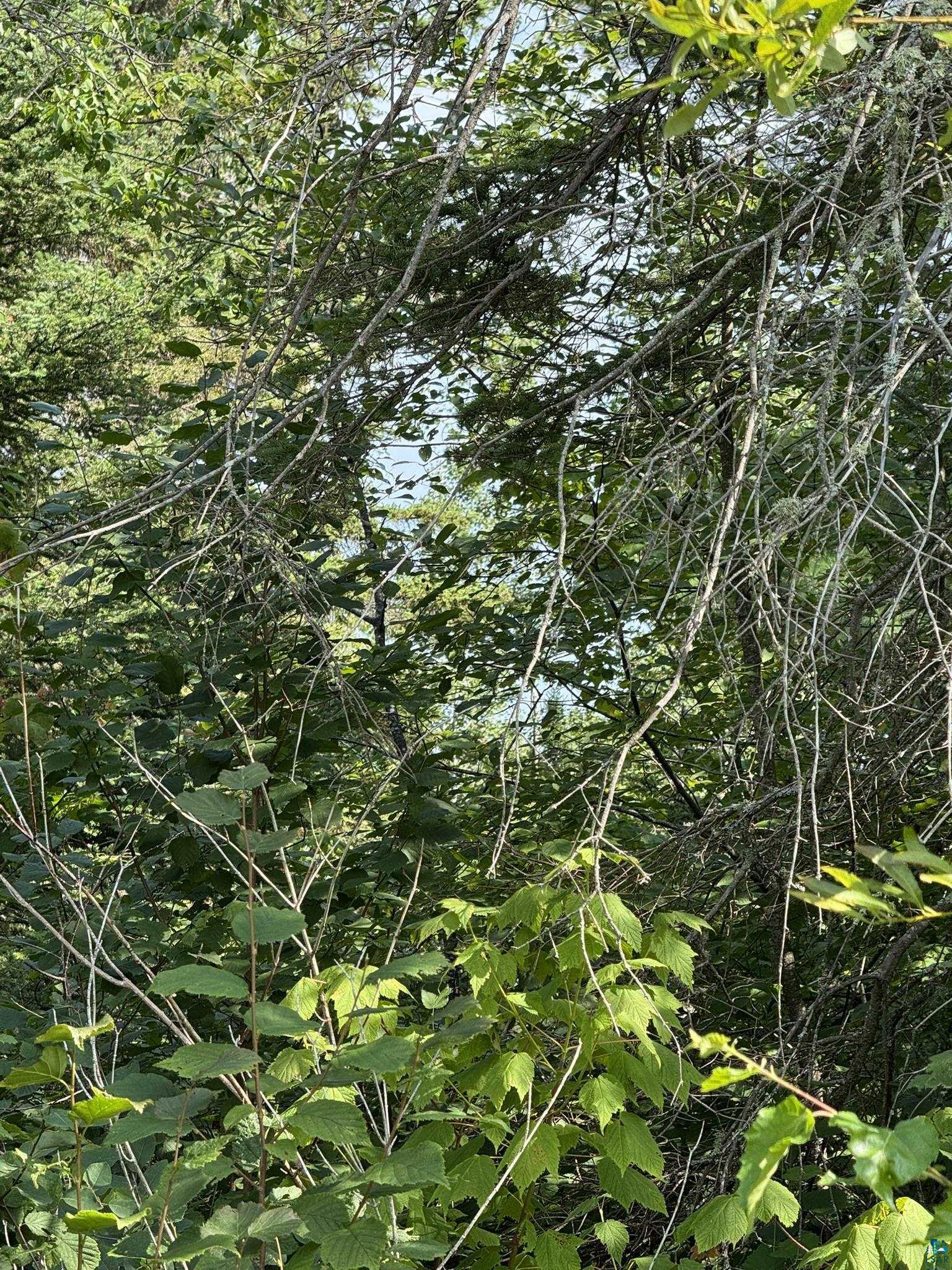 Xx Xx High Ridge Drive Silver Bay, MN 55614 - Photo 20 of 29