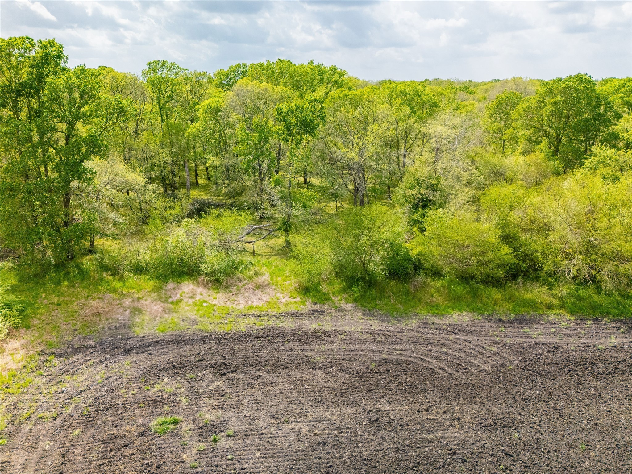 0 Svoboda Road Wallis, TX 77485 - Photo 1 of 4 a view of a yard with an trees
