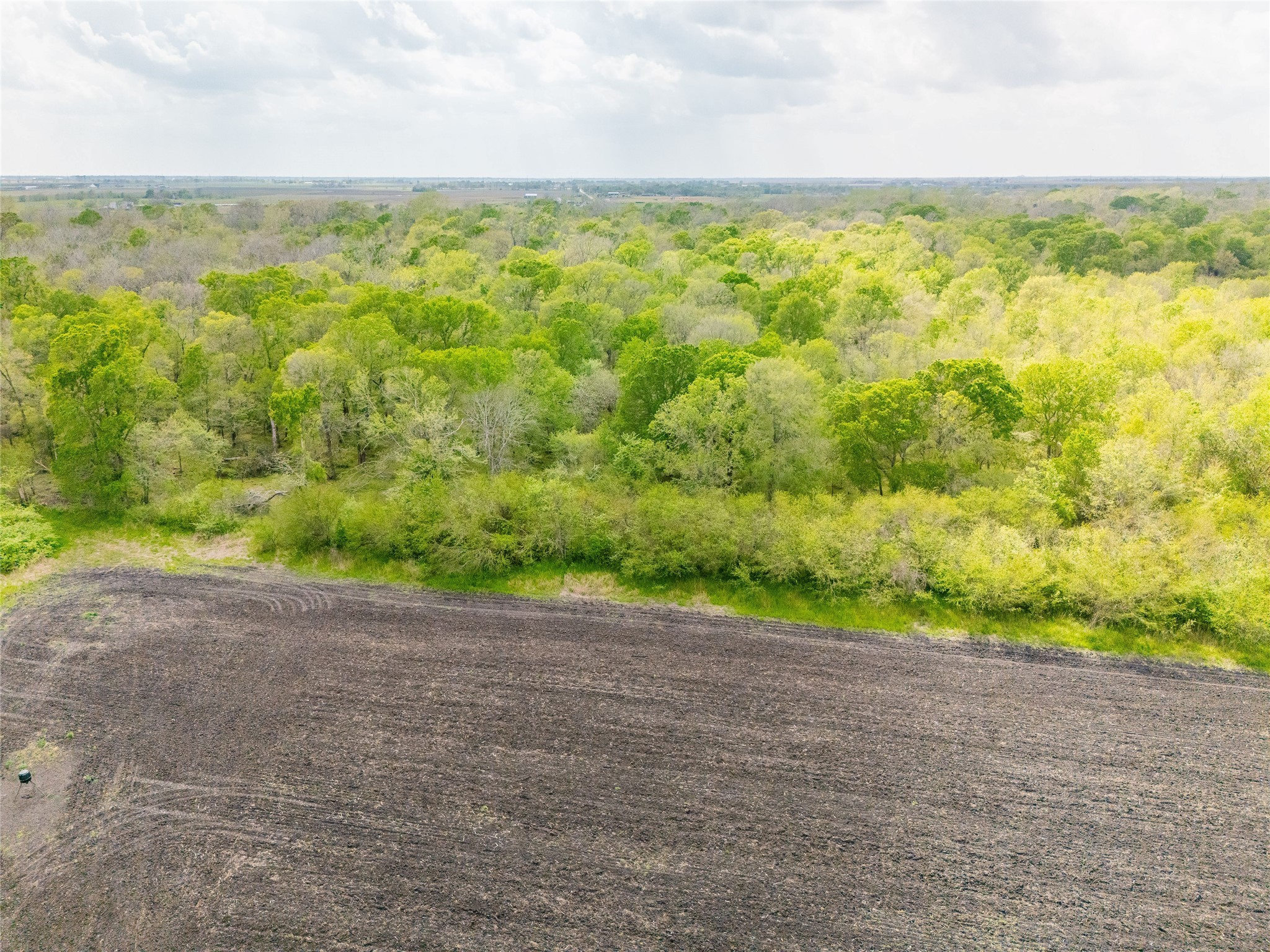 0 Svoboda Road Wallis, TX 77485 - Photo 2 of 4 a view of a yard with an outdoor space