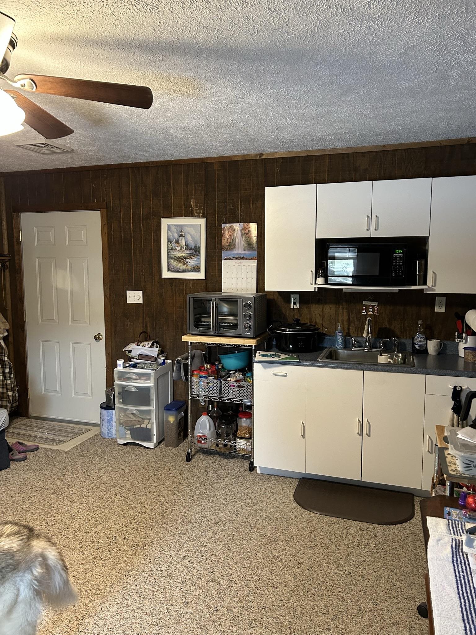 10795 West Cutcheon Road Manton, MI 49663 - Photo 10 of 16