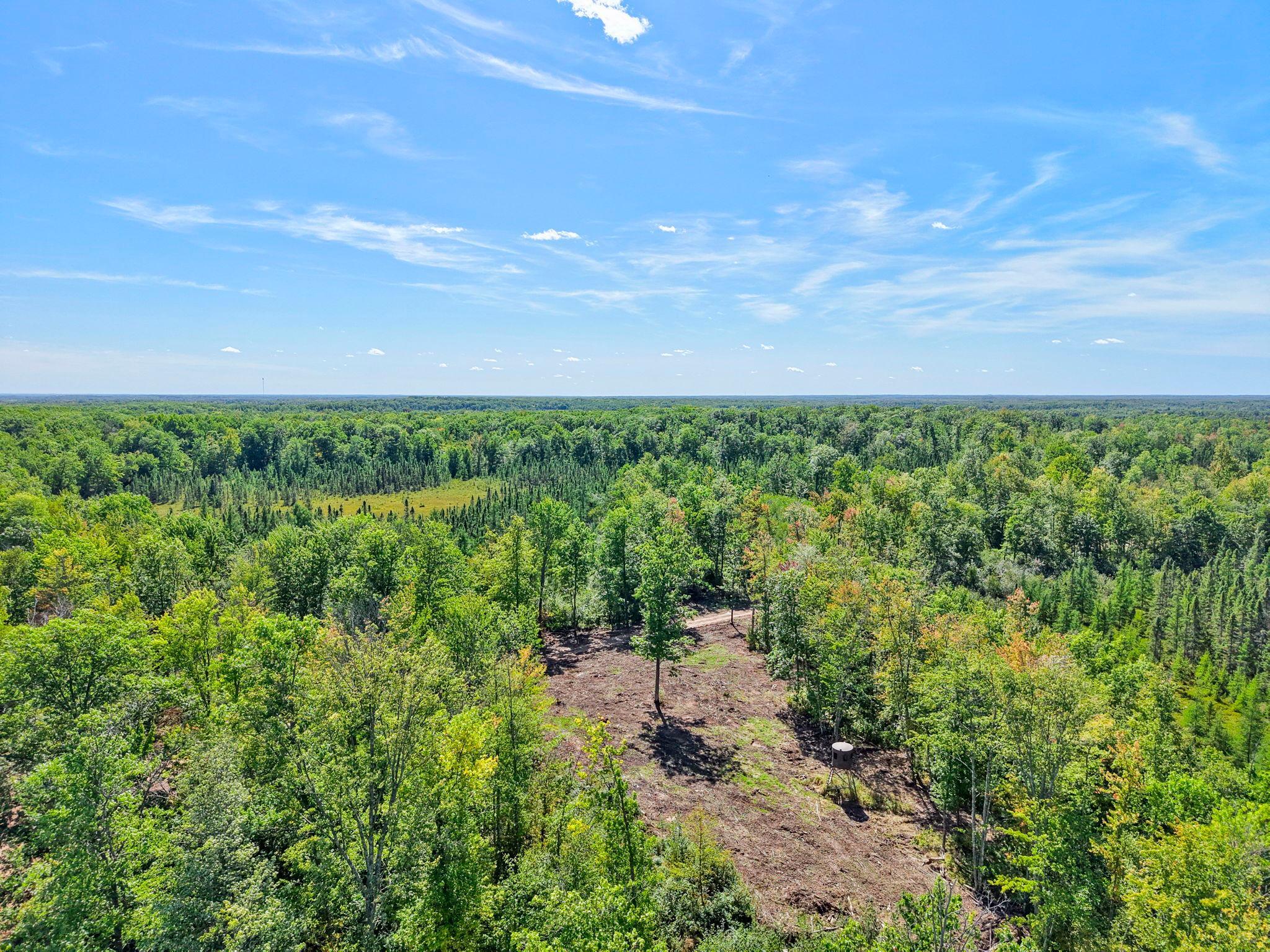 Xxx Fleming Logging Road Hinckley, MN 55037 - Photo 19 of 87 Gallery Image 19