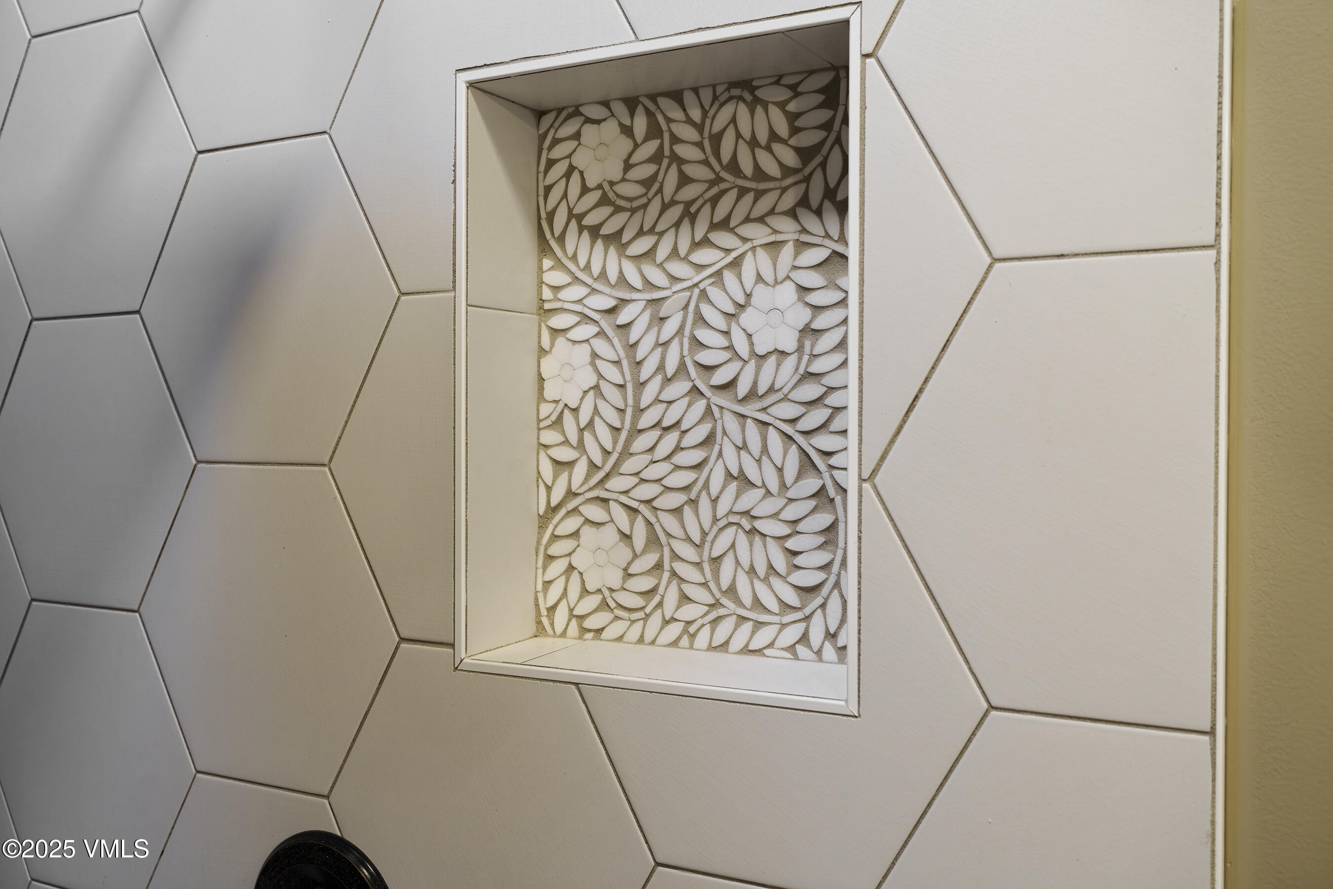 4595 Big Horn Road, Unit 5 Vail, CO 81657 - Photo 21 of 52 a bathroom with a shower and a plant