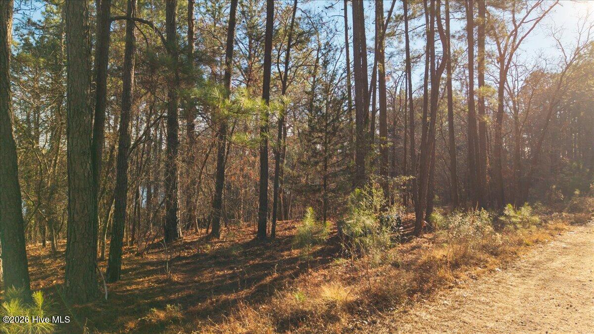 Lot 27 Santee Road Carthage, NC 28327 - Photo 16 of 18 16-16_LOT 27 Santee Rd, Carthage, NC, 28