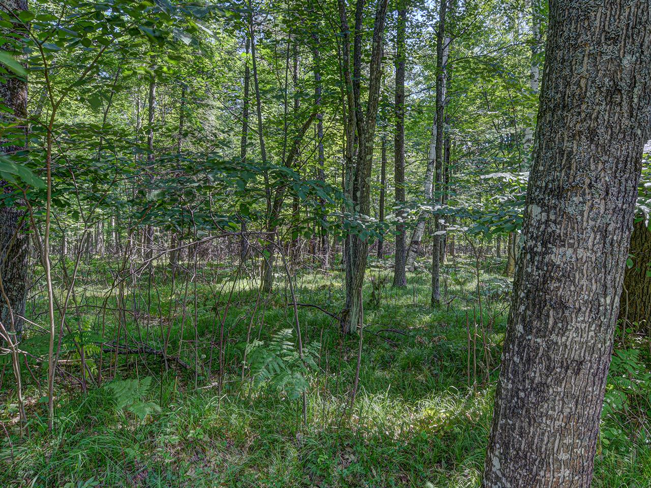 On Blosser Road Woodruff, WI 54568 - Photo 2 of 15 Gallery Image 2