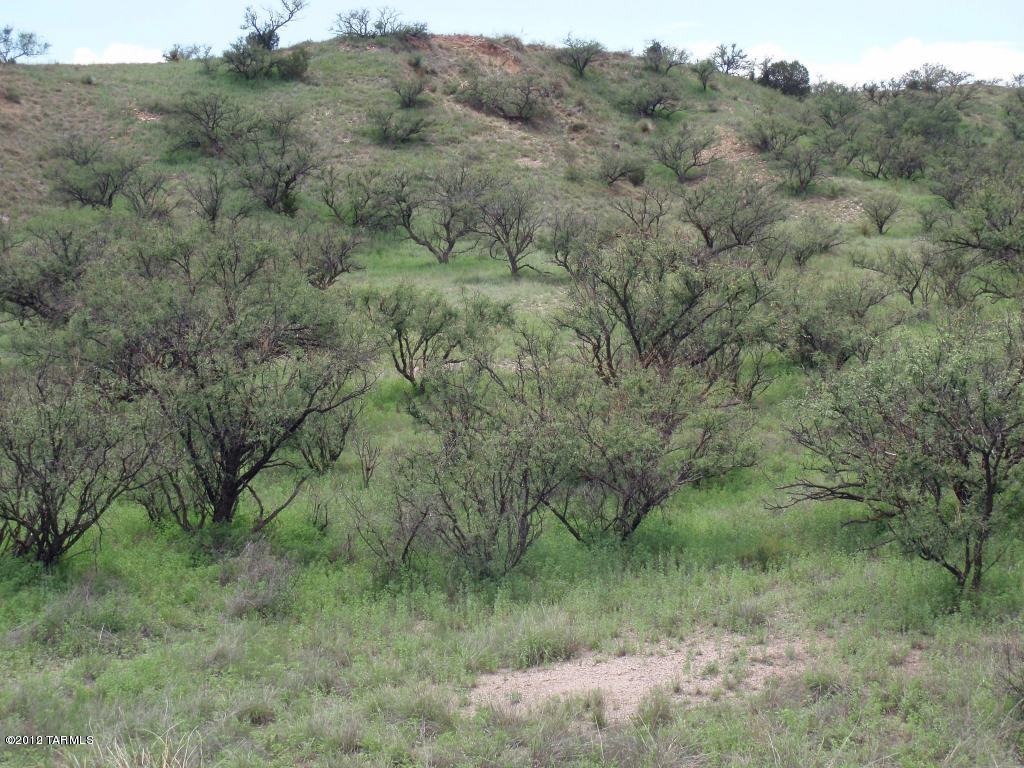 Tbd Wood Canyon Road, Unit 7 Patagonia, AZ 85624 - Photo 7 of 9