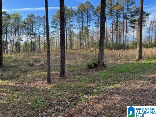 17 Rustic Oaks Drive, Unit 9 Sterrett, AL 35147 - Photo 11 of 13