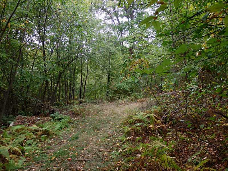 Lot 2 Dinner Bell - 5 Forks Road Farmington, PA 15437 - Photo 1 of 5 Land/Lot.