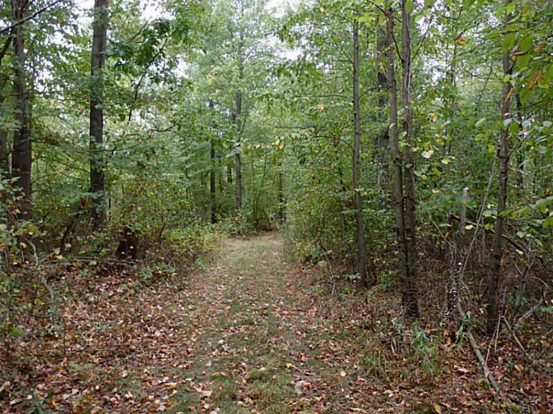 Lot 2 Dinner Bell - 5 Forks Road Farmington, PA 15437 - Photo 2 of 5 Land/Lot.