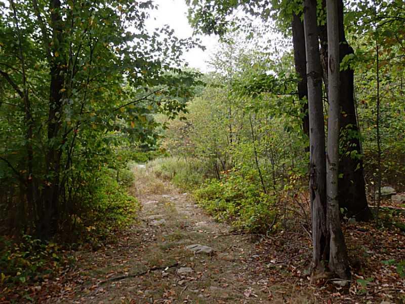 Lot 2 Dinner Bell - 5 Forks Road Farmington, PA 15437 - Photo 3 of 5 Land/Lot.