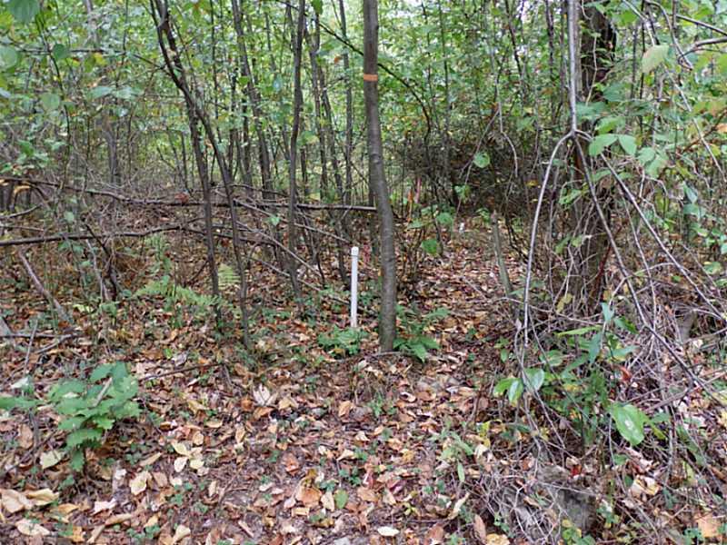 Lot 2 Dinner Bell - 5 Forks Road Farmington, PA 15437 - Photo 4 of 5 Land/Lot.