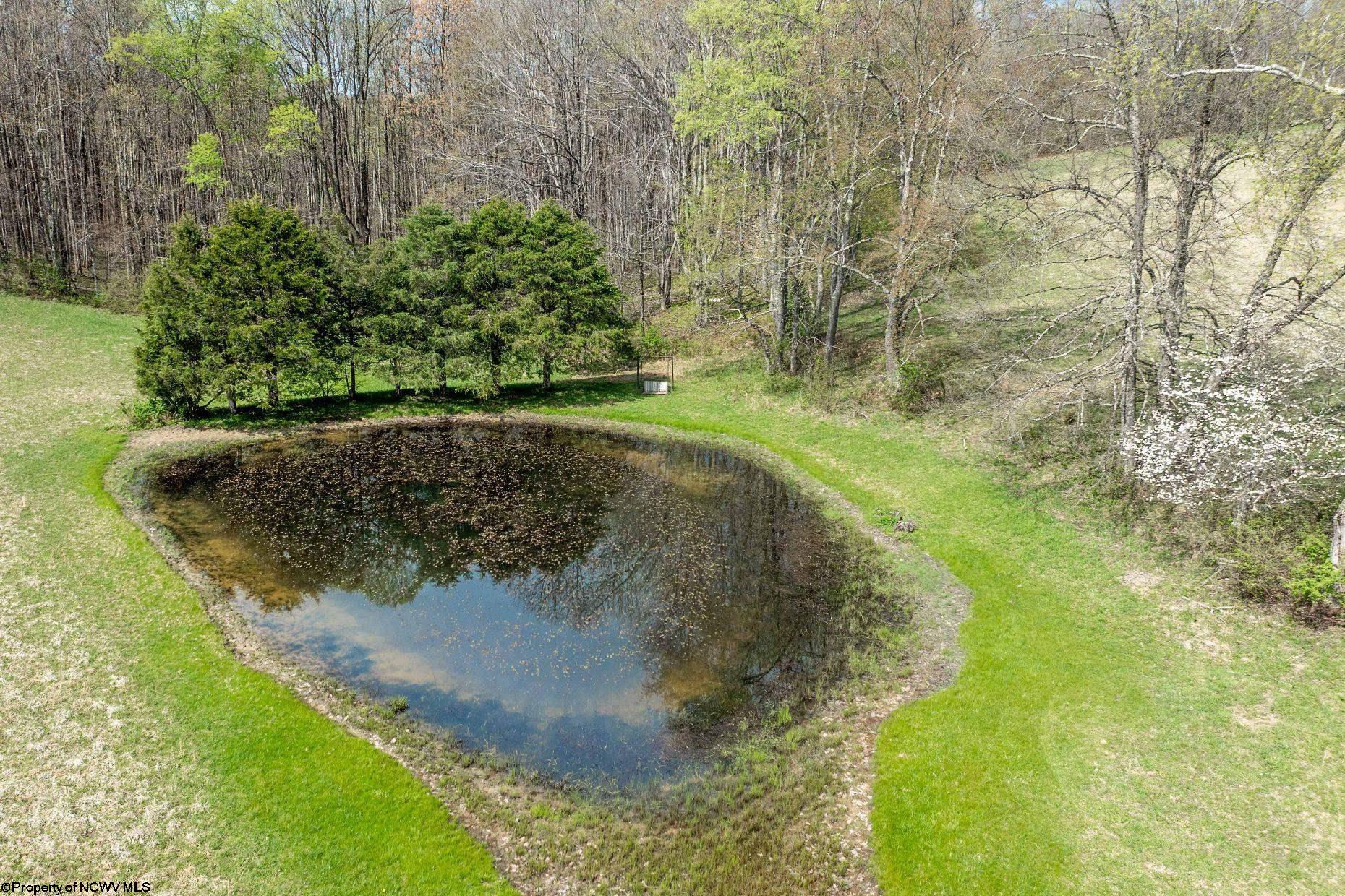 932 Linton Road Independence, WV 26374 - Photo 47 of 50 Gallery Image 47