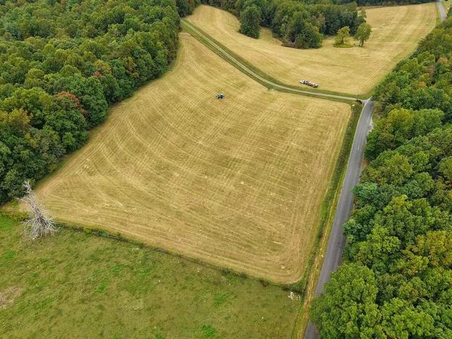 a view of a field with trees in the background