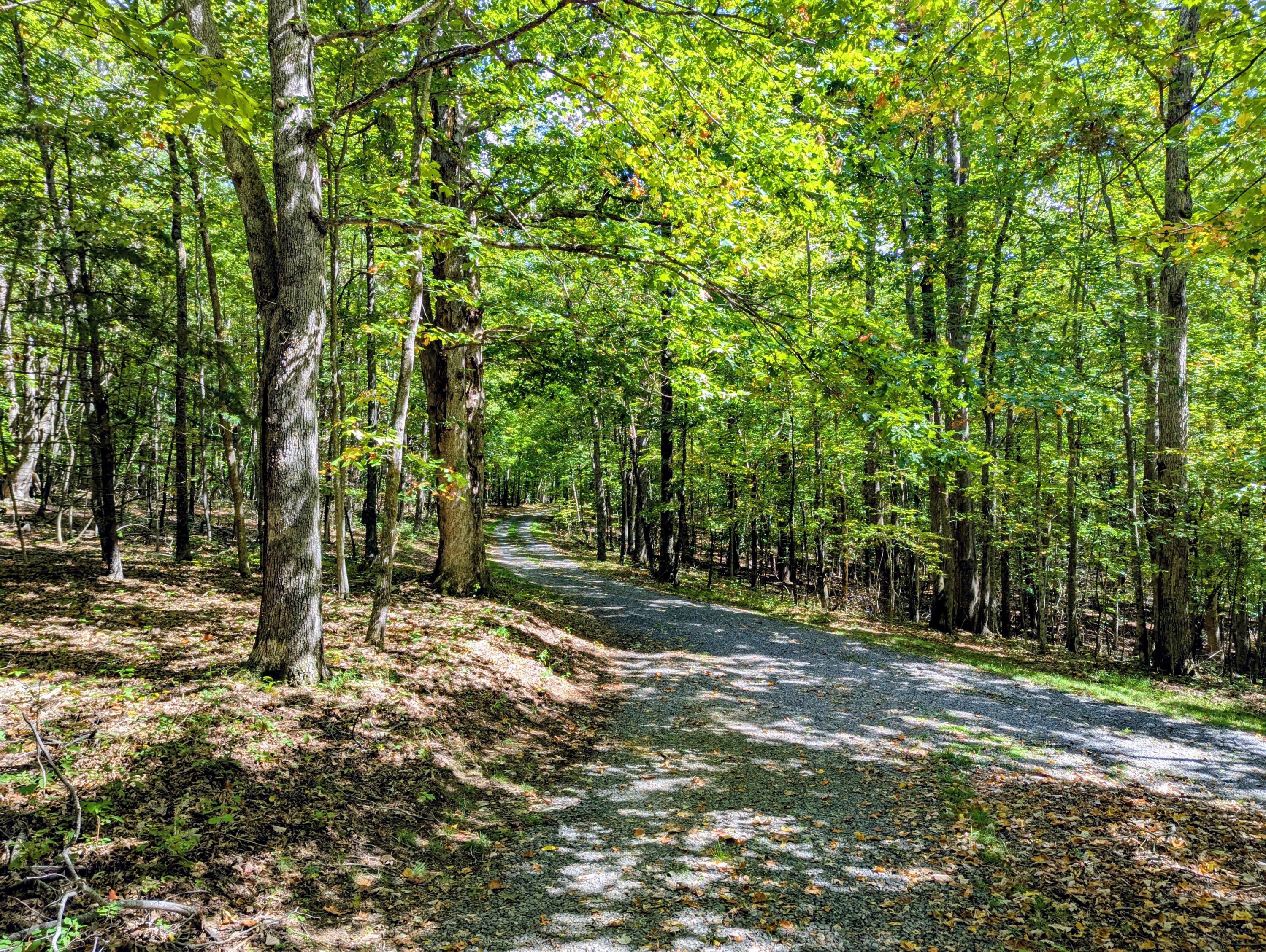 1705 Barberry Road Southeast Floyd, VA 24091 - Photo 43 of 66 a view of a tree in the middle of a yard