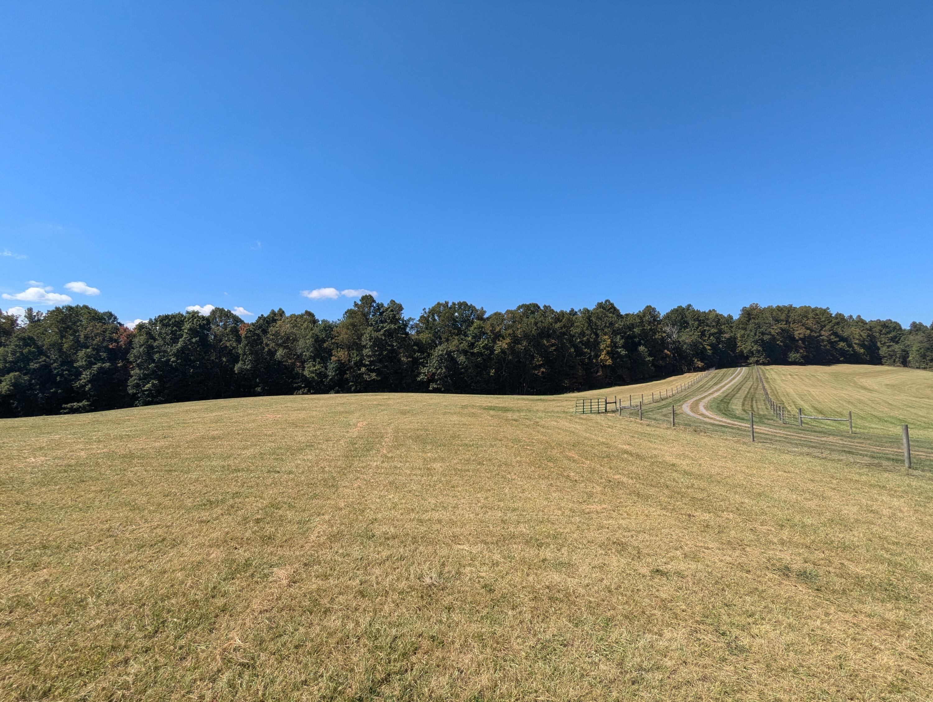 1705 Barberry Road Southeast Floyd, VA 24091 - Photo 45 of 66 a view of an outdoor space and a yard