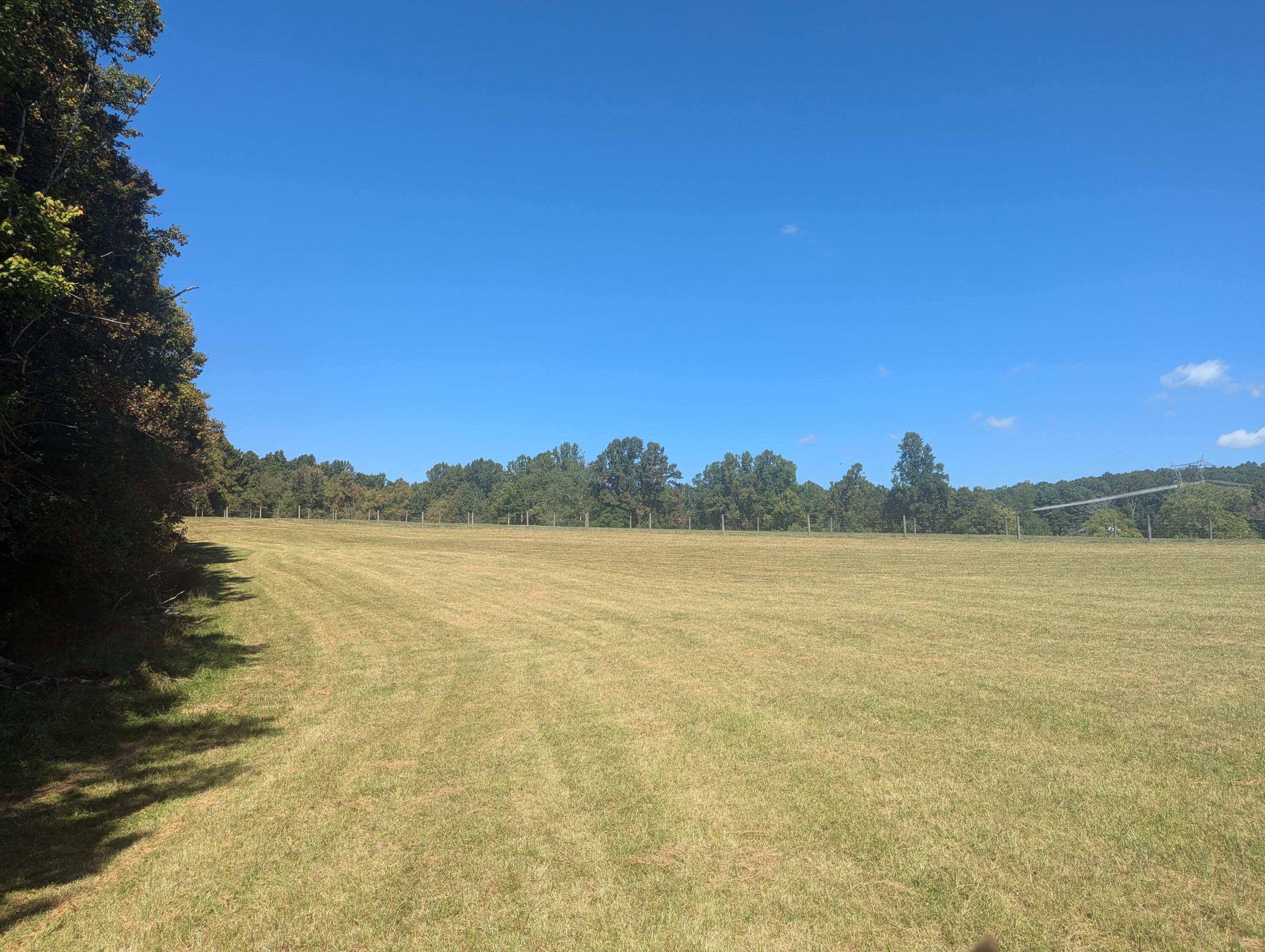 1705 Barberry Road Southeast Floyd, VA 24091 - Photo 46 of 66 1 (4)