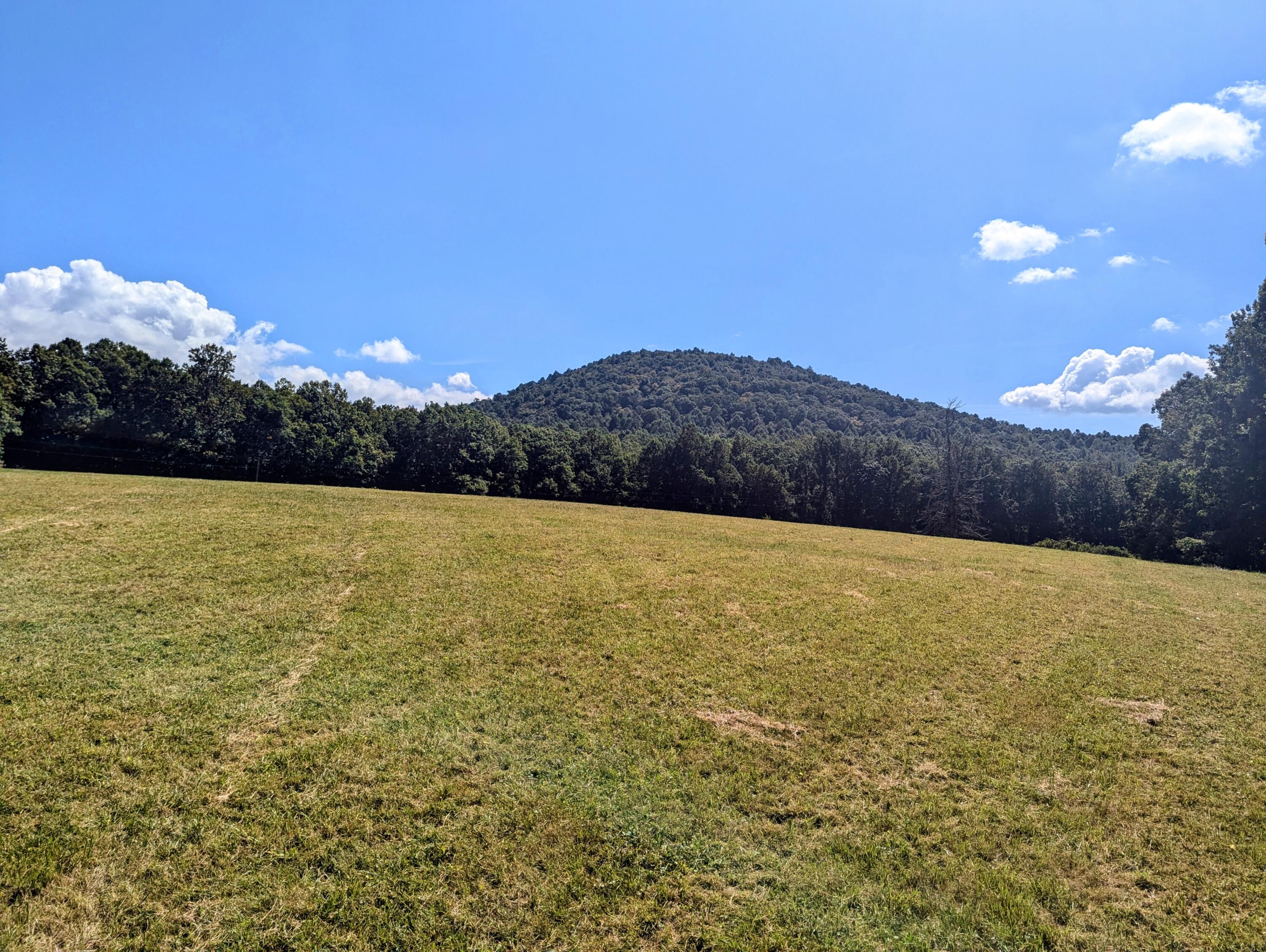 1705 Barberry Road Southeast Floyd, VA 24091 - Photo 47 of 66 1 (5)