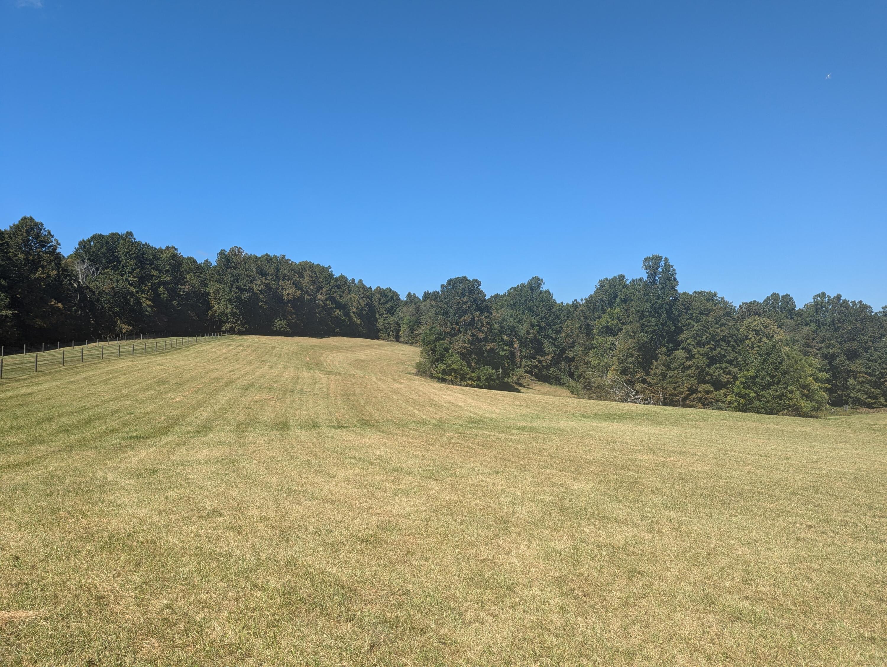 1705 Barberry Road Southeast Floyd, VA 24091 - Photo 48 of 66 a view of a field with trees in the background