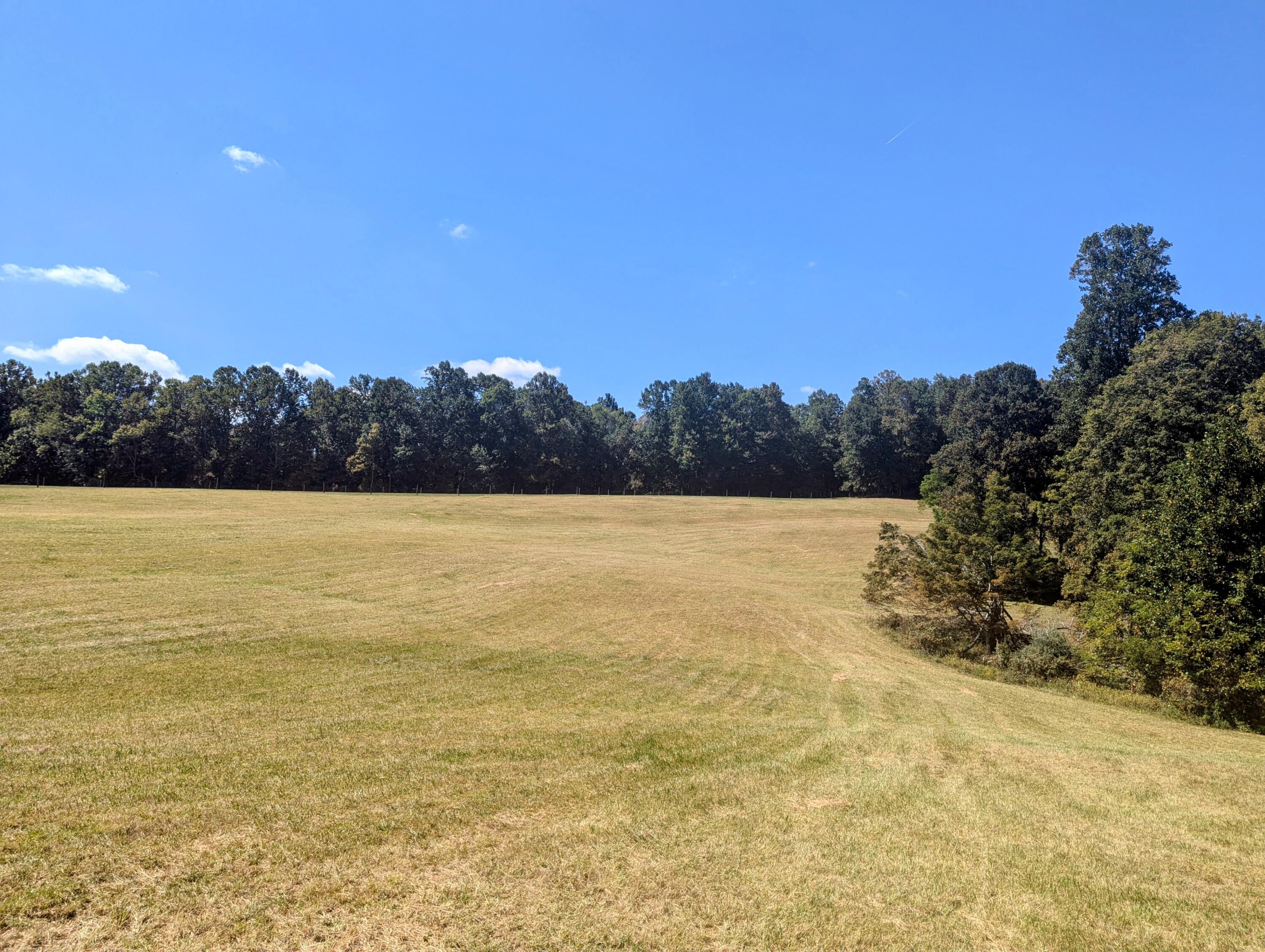 1705 Barberry Road Southeast Floyd, VA 24091 - Photo 50 of 66 a view of outside space and swimming pool