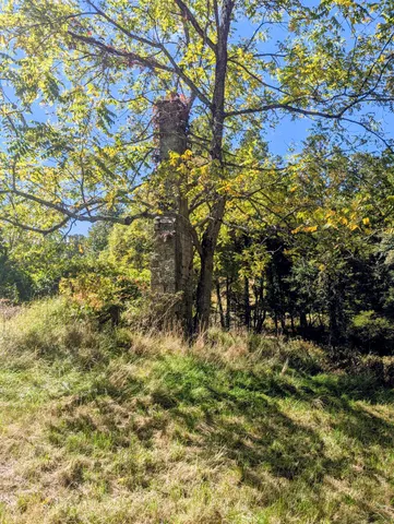 $1,250,000 | 1705 Barberry Road Southeast, Floyd, VA 24091