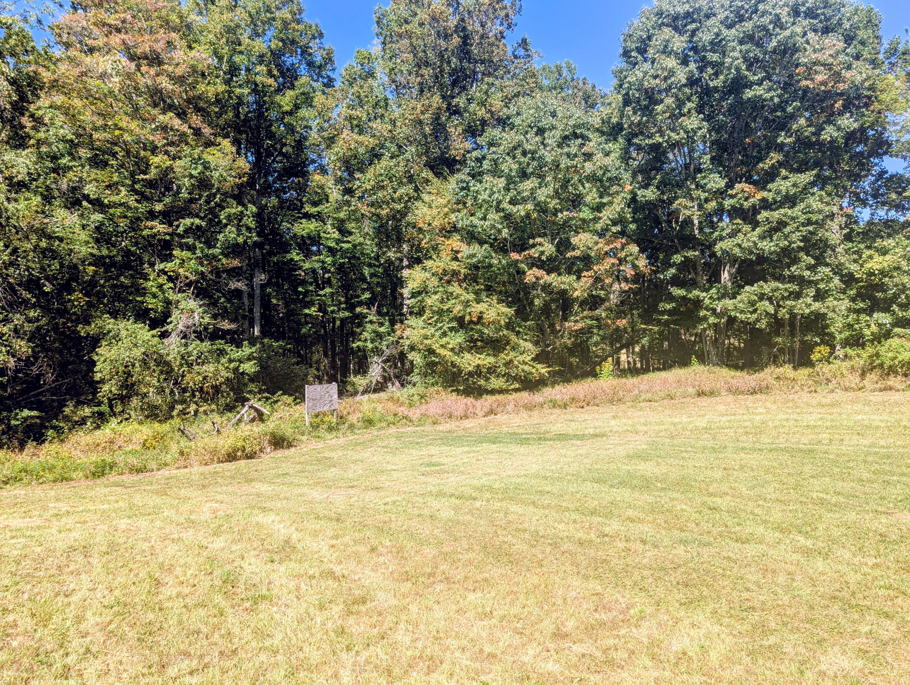 1705 Barberry Road Southeast Floyd, VA 24091 - Photo 52 of 66 1 (10)