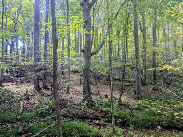 $1,250,000 | 1705 Barberry Road Southeast, Floyd, VA 24091