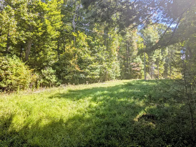 $1,250,000 | 1705 Barberry Road Southeast, Floyd, VA 24091