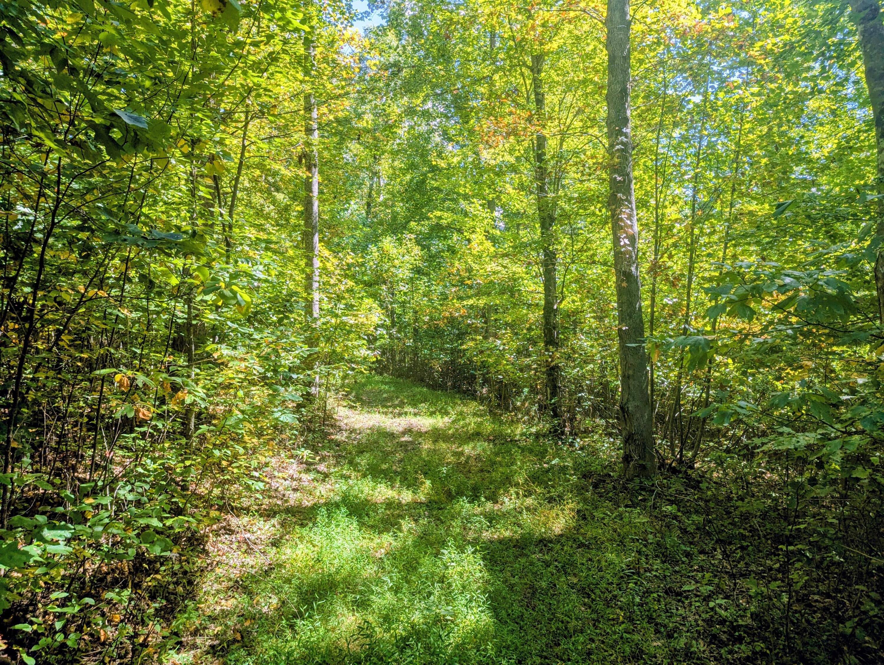 1705 Barberry Road Southeast Floyd, VA 24091 - Photo 57 of 66 1 (15)