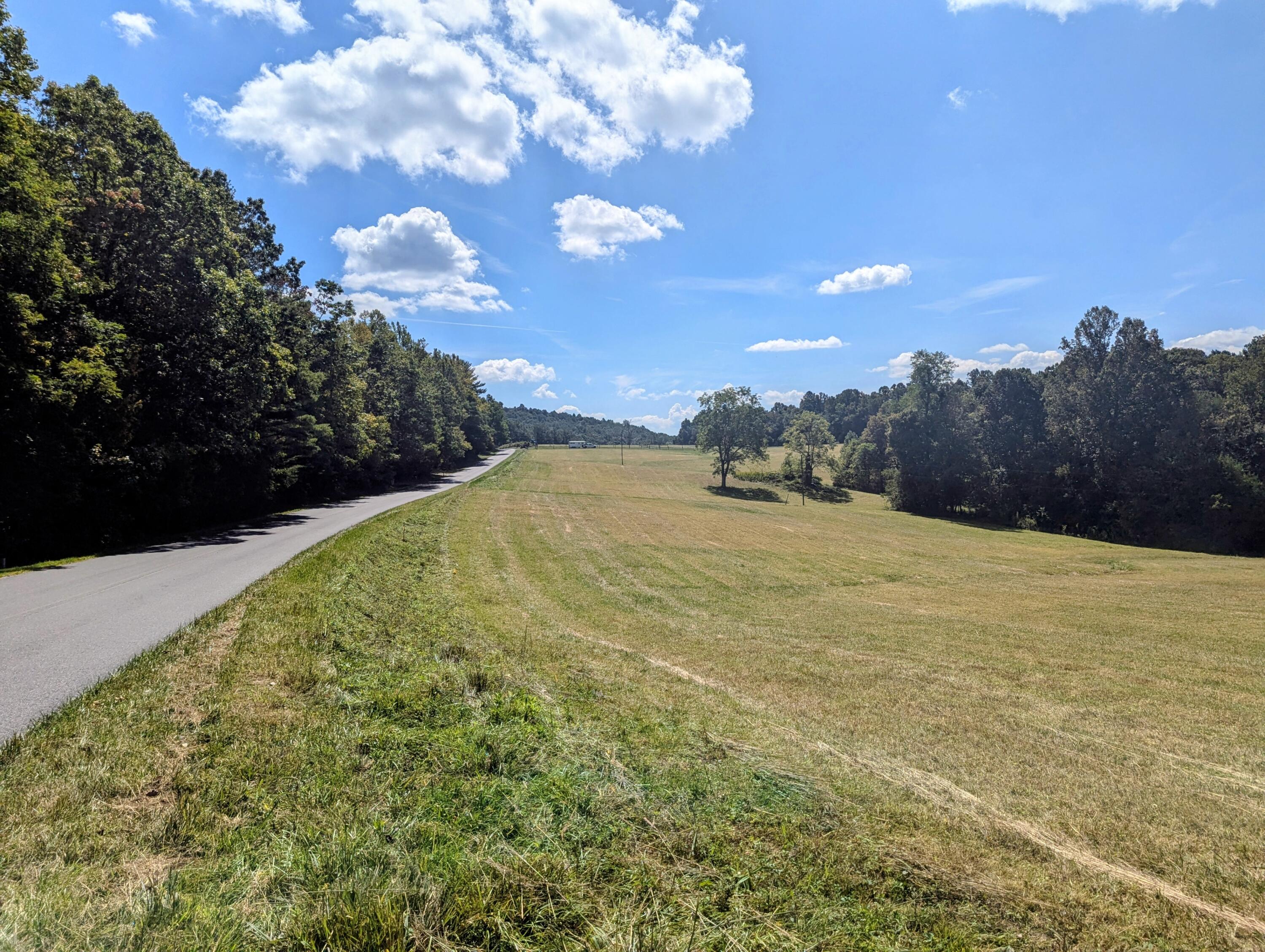 1705 Barberry Road Southeast Floyd, VA 24091 - Photo 58 of 66 1 (16)