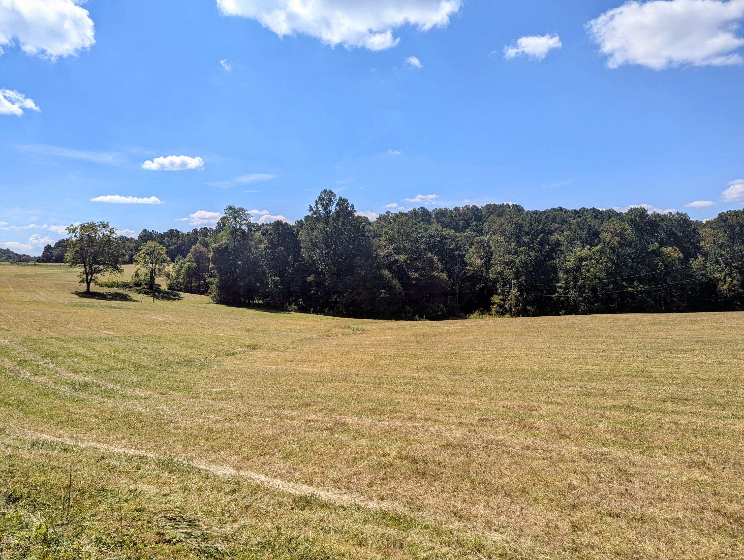 1705 Barberry Road Southeast Floyd, VA 24091 - Photo 59 of 66 a view of ocean view with beach