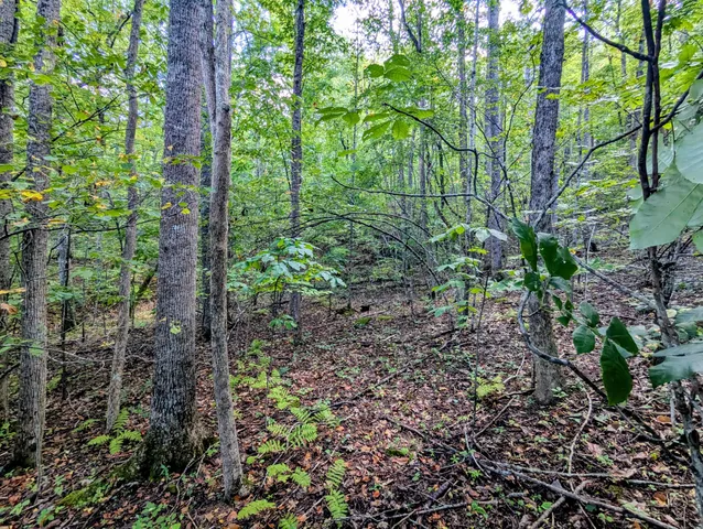 $1,250,000 | 1705 Barberry Road Southeast, Floyd, VA 24091