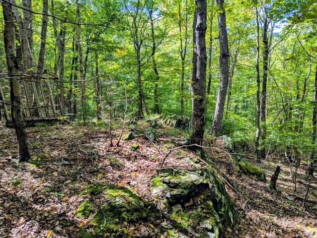 $1,250,000 | 1705 Barberry Road Southeast, Floyd, VA 24091