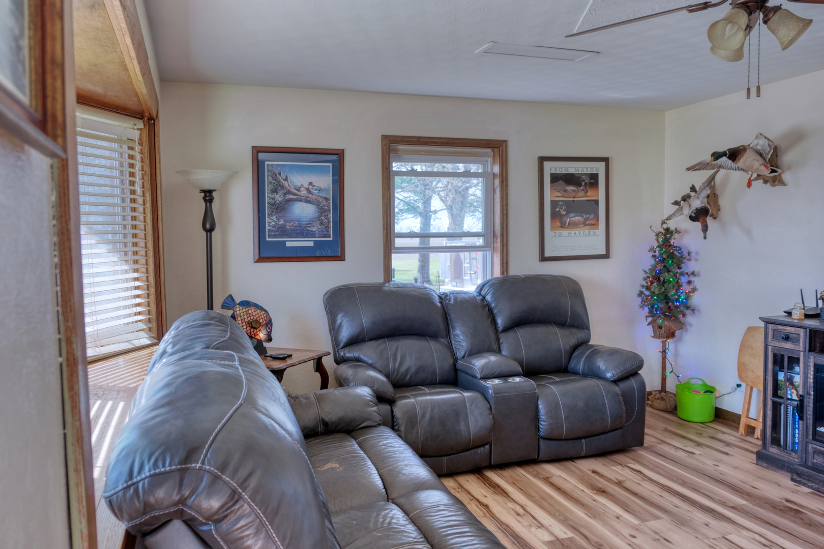 1219 Indian Ridge Road Jacob, IL 62950 - Photo 9 of 35