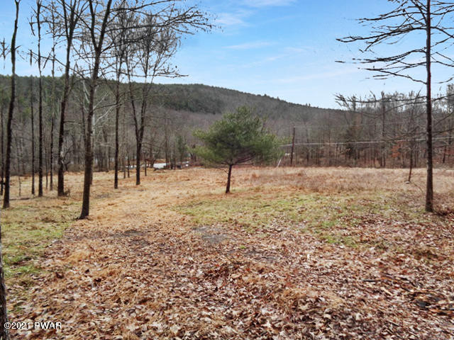 5 Blossom Road Lackawaxen, PA 18435 - Photo 3 of 26