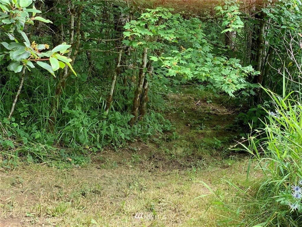 102-52 52 Round Top Road Mineral, WA 98355 - Photo 8 of 26 Gallery Image 8