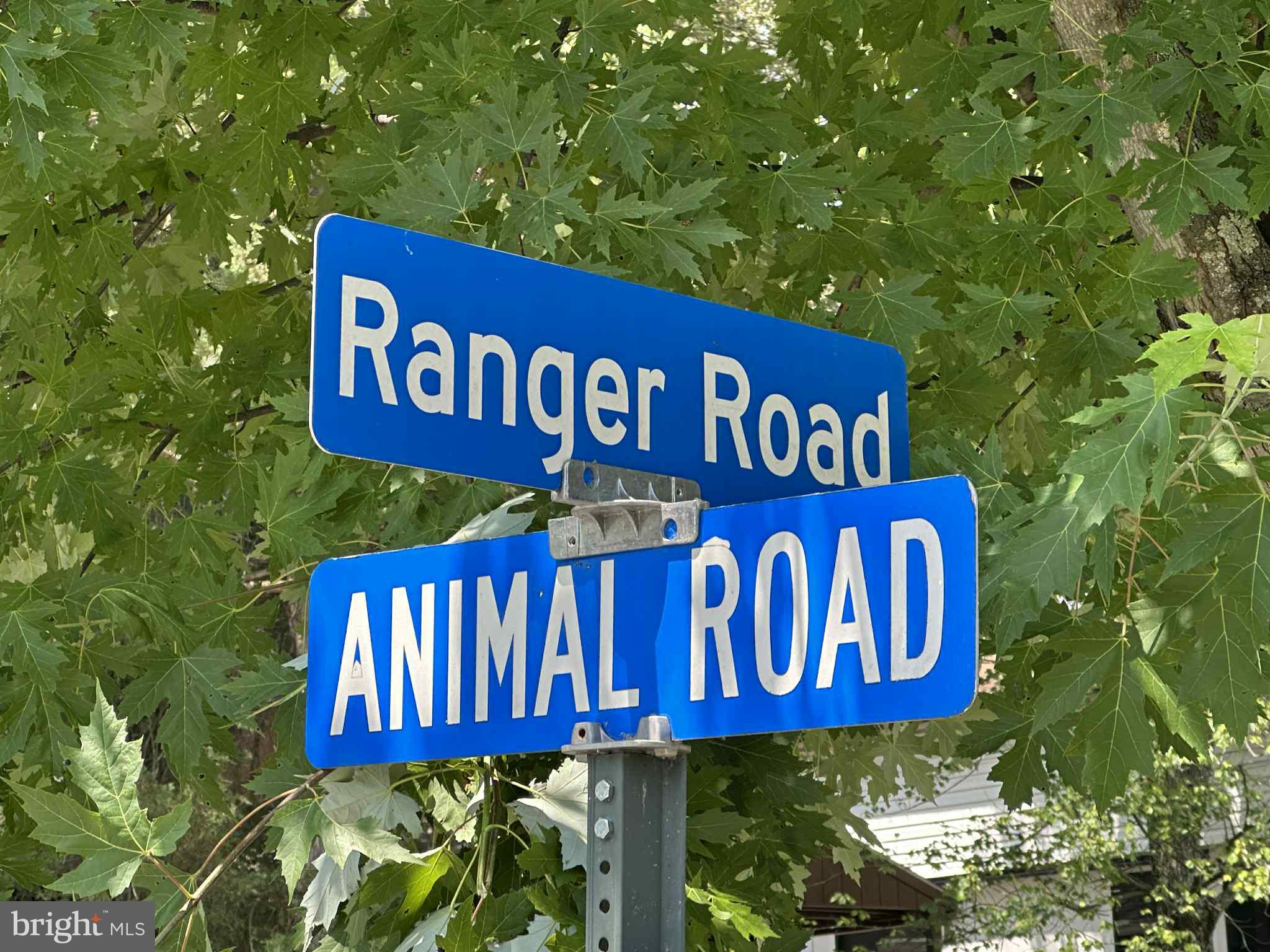 28 & 29 Ranger Road Falling Waters, WV 25419 - Photo 2 of 35 a street sign that is on a pole