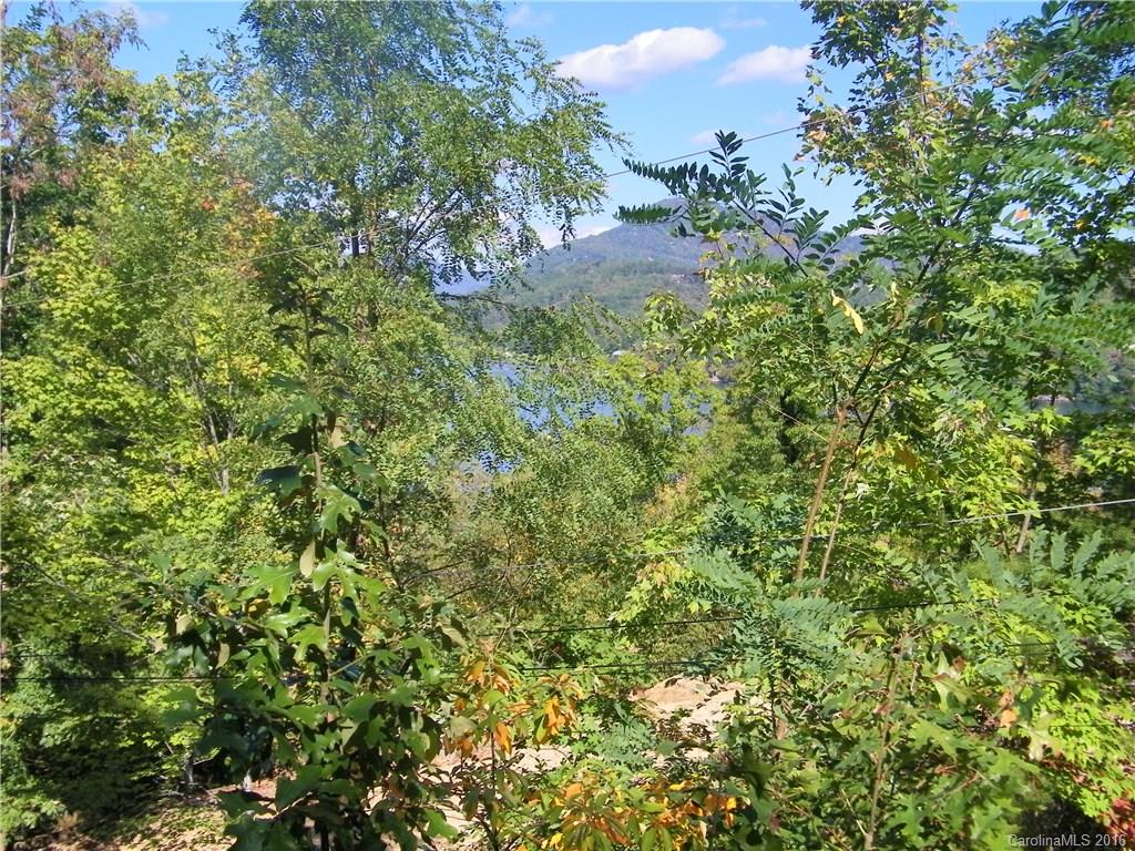 116 Summer Rest Lake Lure, NC 28746 - Photo 2 of 19 Gallery Image 2