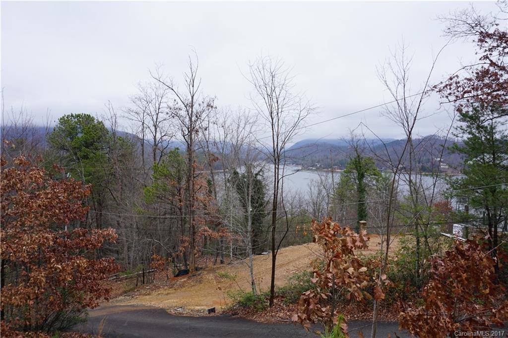 116 Summer Rest Lake Lure, NC 28746 - Photo 18 of 19 Gallery Image 18