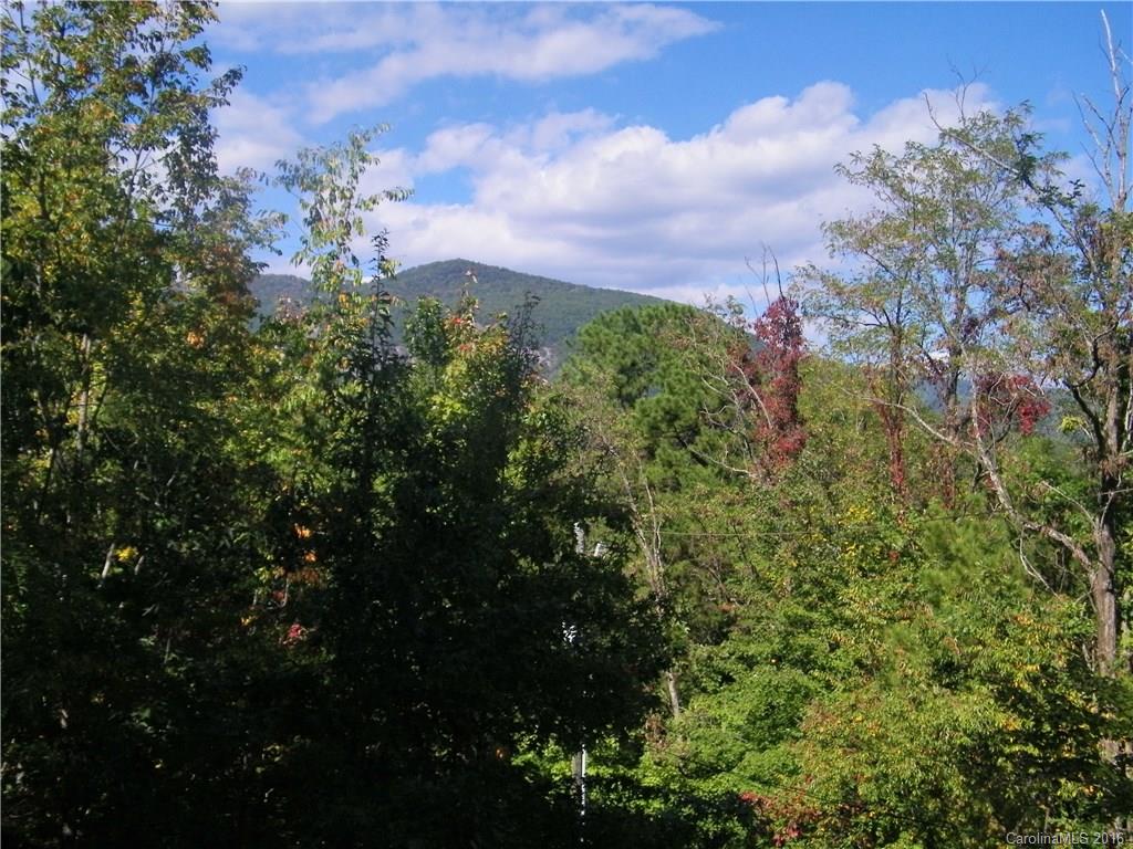 116 Summer Rest Lake Lure, NC 28746 - Photo 3 of 19 Gallery Image 3