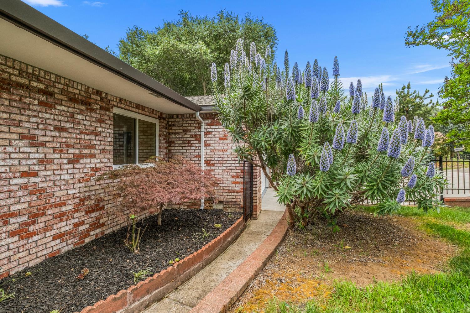 3517 Bajamont Way Carmichael, CA 95608 - Photo 15 of 69
