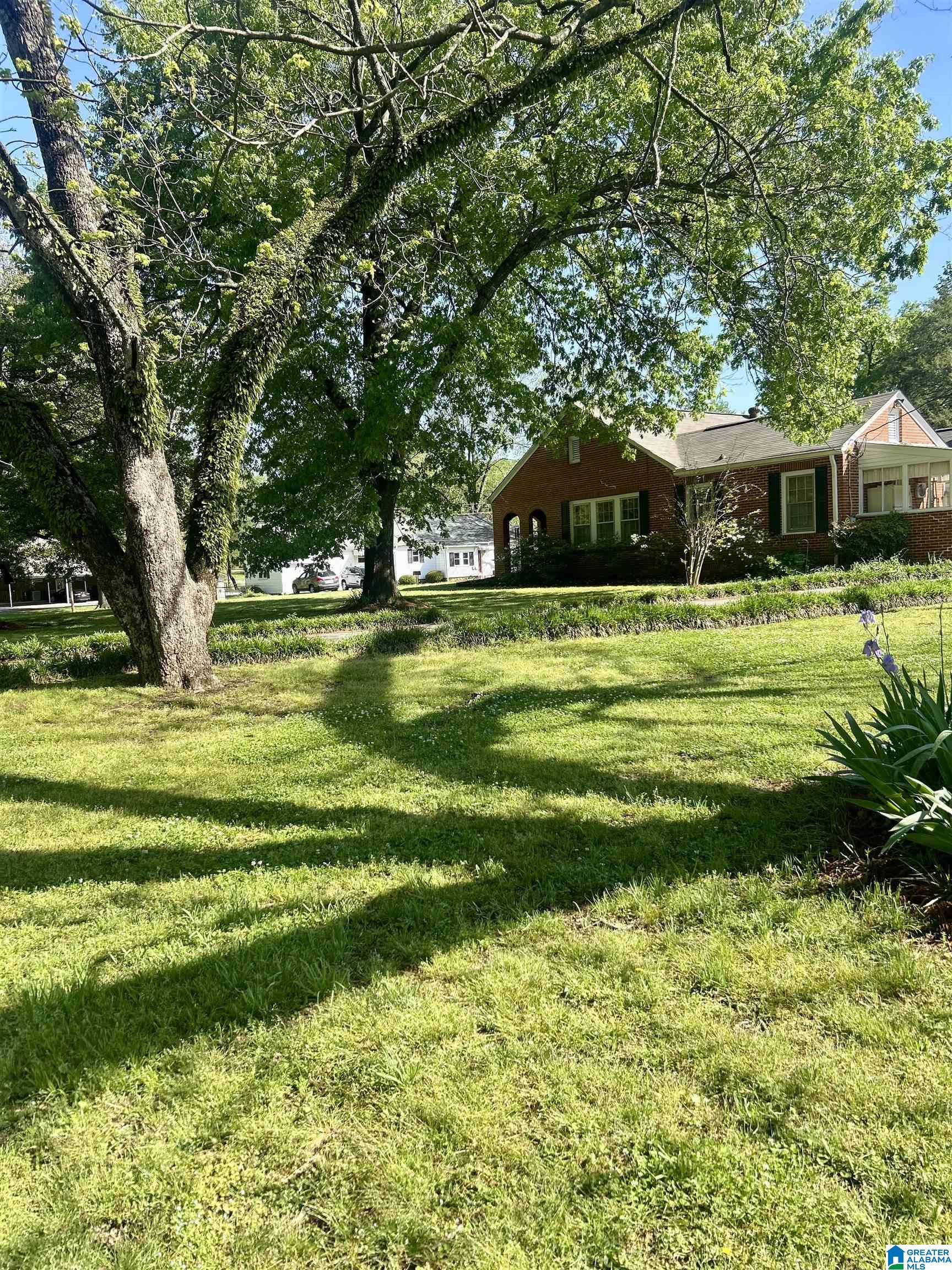 201 Ferry Road Columbiana, AL 35051 - Photo 5 of 33