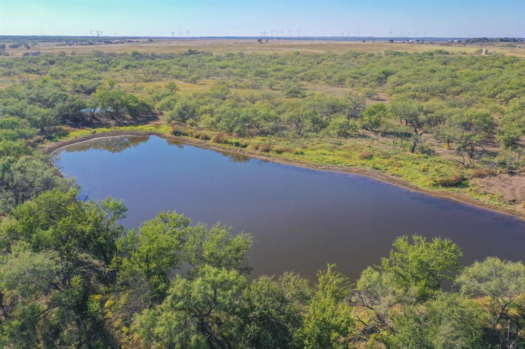 199 Rd Jacksboro Tx 76458 Road Jacksboro, TX 76458 - Photo 10 of 20